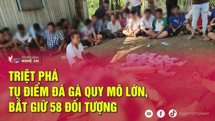 Đá gà online tại BJ27 có hợp pháp không? Tìm hiểu ngay!