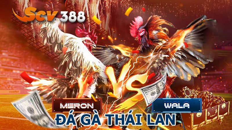 Link xem đá gà cựa sắt mới nhất tại BJ27 hôm nay - Khám Phá Sự Hấp Dẫn Của Đá Gà