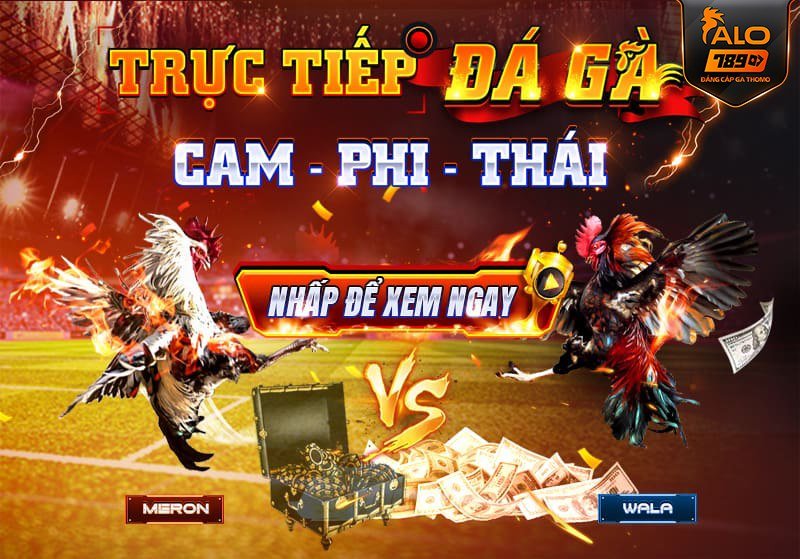 Đá gà Thomo hôm nay tại bj27 diễn ra lúc mấy giờ? - Cập nhật lịch thi đấu thú vị