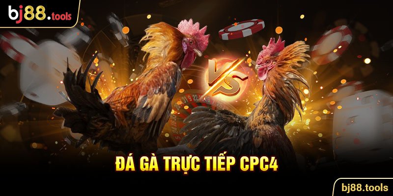 BJ27 – Sân chơi đá gà trực tiếp cực chất dành cho dân cược