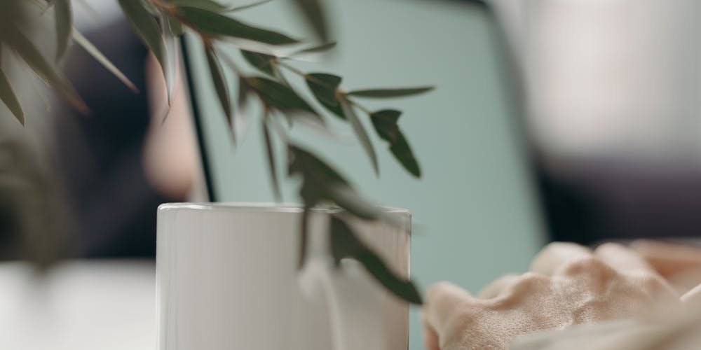 Giải mã sức hút của đá gà online BJ27 khiến người chơi “nghiện” - Khám phá thế giới cá cược độc đáo