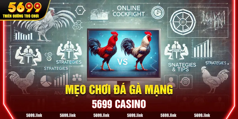 Khám Phá Thú Vị Về Cá Cược Đá Gà Campuchia bj27 - Lợi Ích, Hạn Chế Và Mẹo Hiệu Quả