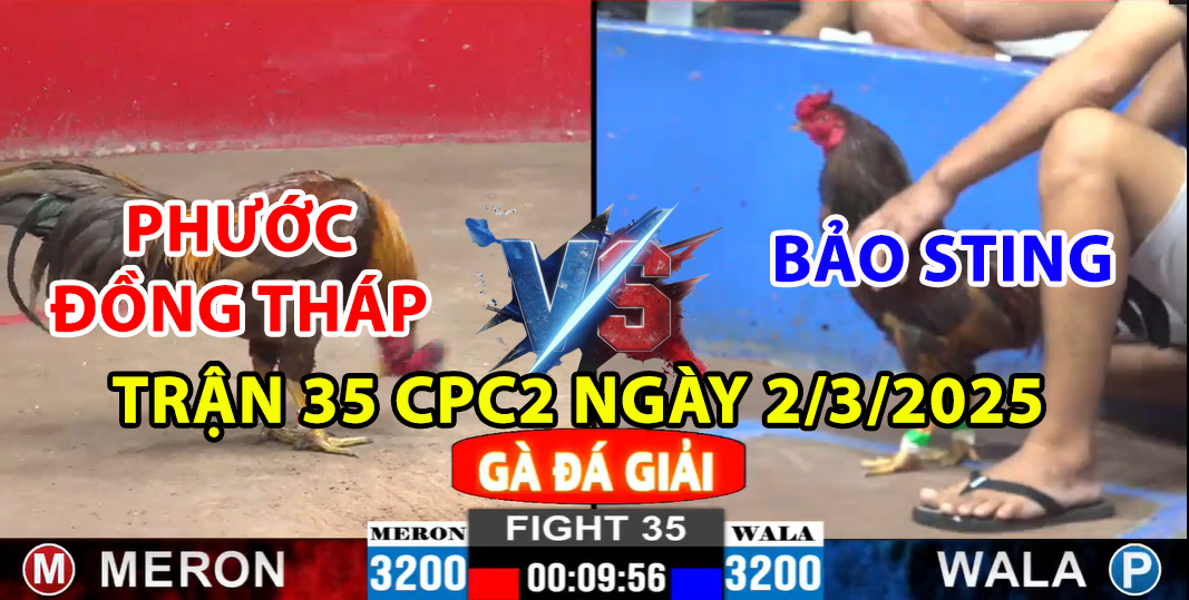 Top trận đá gà hấp dẫn không thể bỏ lỡ tại BJ27 mỗi ngày - Khám Phá Thế Giới Đá Gà Đỉnh Cao