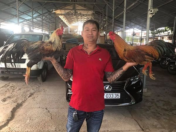 Cá cược đá gà Campuchia bj27 có uy tín không? - Khám Phá Thế Giới Cá Cược Đá Gà