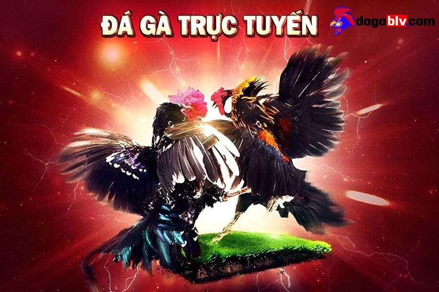 Trực Tiếp Đá Gà Cựa Sắt BJ27 - Khám Phá Thế Giới Đầy Hấp Dẫn Của Những Trận Đấu Quyết Liệt