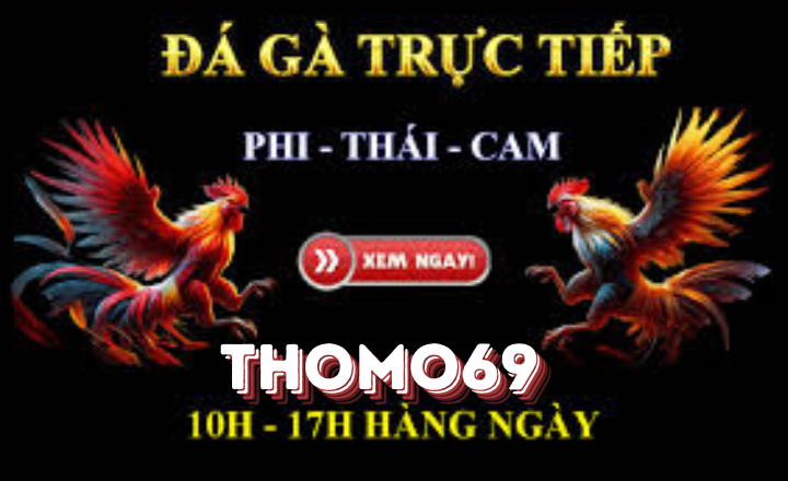 Làm sao để chọn nhà cái đá gà uy tín như bj27? - Hướng Dẫn Chi Tiết