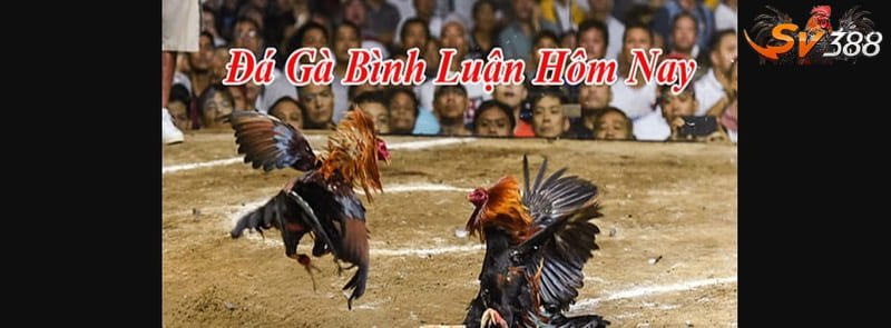 Mẹo chơi đá gà trực tuyến tại bj27 cho người mới bắt đầu là gì? - Hướng dẫn chi tiết và hiệu quả